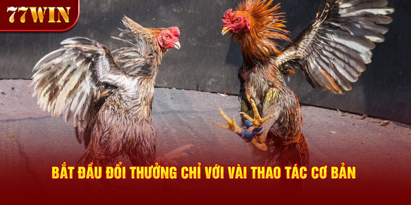 Bắt đầu đổi thưởng chỉ với vài thao tác cơ bản