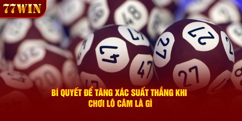 Bí quyết để tăng xác suất thắng khi chơi lô câm là gì