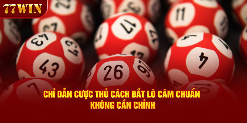 Chỉ dẫn cược thủ cách bắt lô câm chuẩn không cần chỉnh