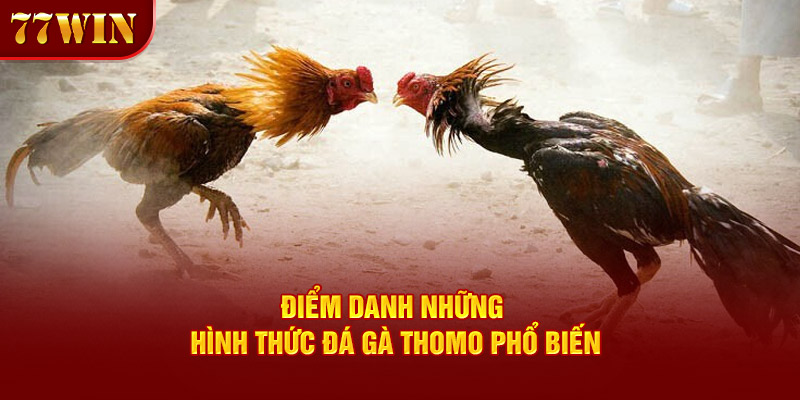 Điểm danh những hình thức đá gà Thomo phổ biến