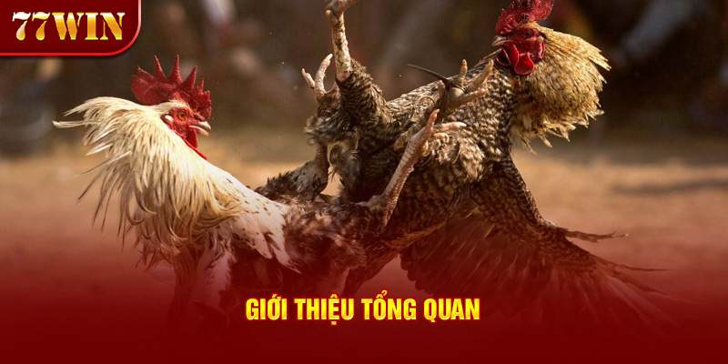 Giới thiệu tổng quan