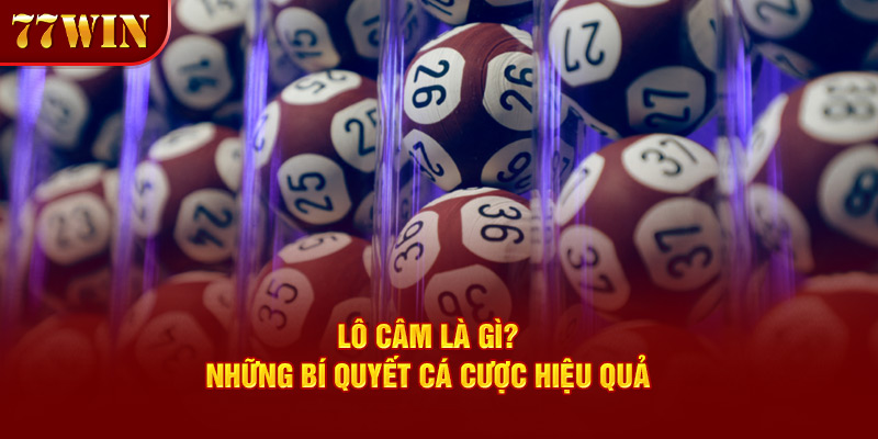 Tìm hiểu thông tin lô câm là gì?