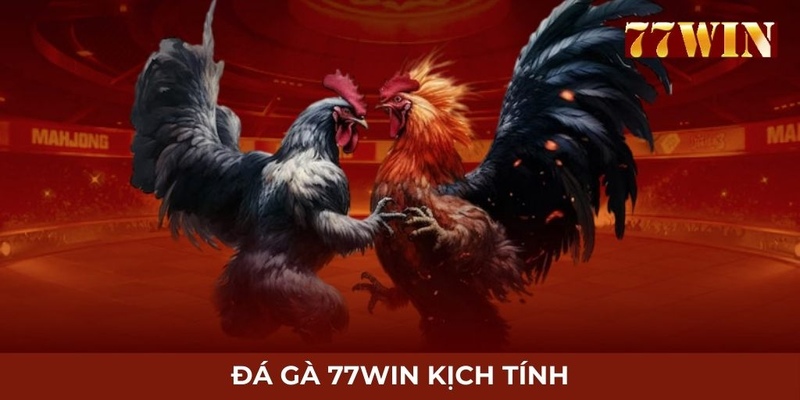 Thưởng thức đá gà siêu kịch tính tại 77WIN   